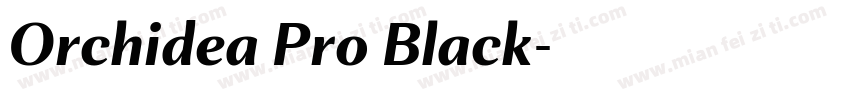 Orchidea Pro Black字体转换